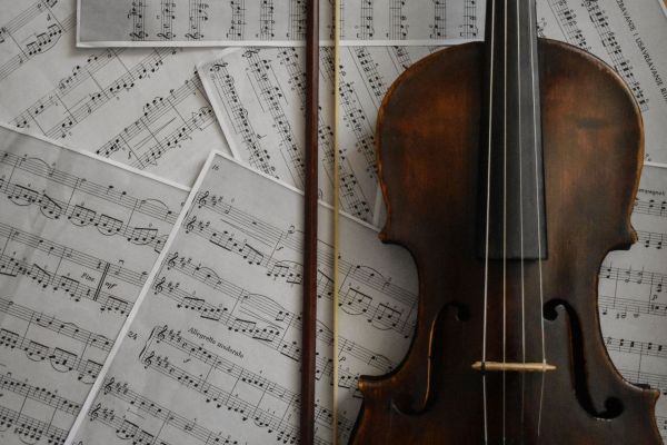 Les atouts des cours de violon à Avignon pour progresser